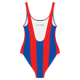 Palace Classic One-Piece Swimsuit - back