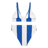Brighton Classic High Waisted Bikini - back