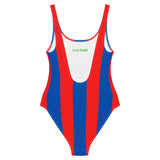 Palace Classic One-Piece Swimsuit - back