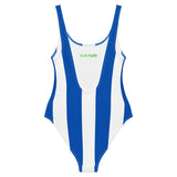 Brighton Classic One-Piece Swimsuit - back