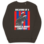 Dreaming of a Wright & Bright Christmas - Crystal Palace Christmas Jumper (charcoal)) - front