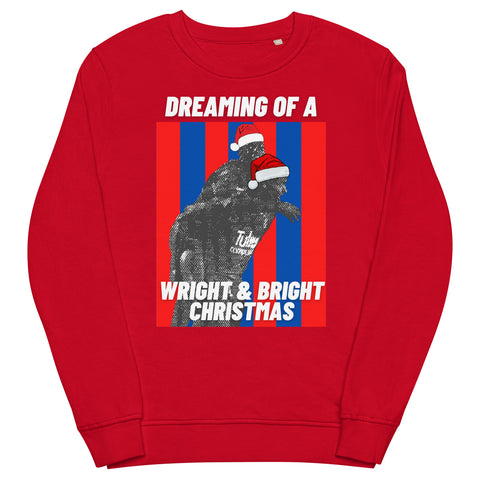 Dreaming of a Wright & Bright Christmas - Crystal Palace Christmas Jumper (red) - front