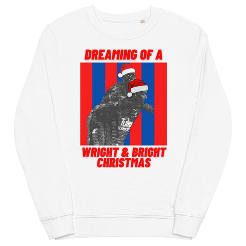 Dreaming of a Wright & Bright Christmas - Crystal Palace Christmas Jumper (White)