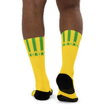 Celtic 89 Socks