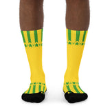 Celtic 89 Socks