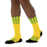 Celtic 89 Socks