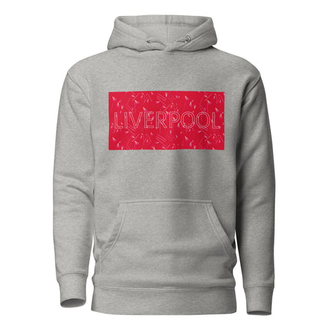 Liverpool 89 Statement Hoodie - grey